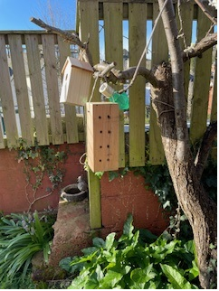 Beechmount Care Home Welcomes Spring with Wildlife Garden Initiative